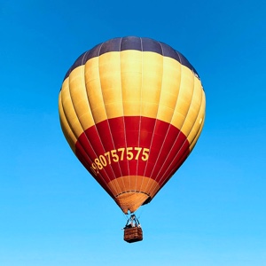 蛋黄酱爱好者mj