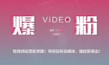 《短视频爆粉秘籍》增哥教你粉丝爆增1000倍的新方法[pdf]