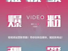 《短视频爆粉秘籍》增哥教你粉丝爆增1000倍的新方法[pdf]